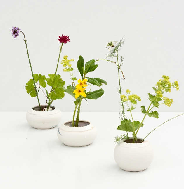 three white flower pots